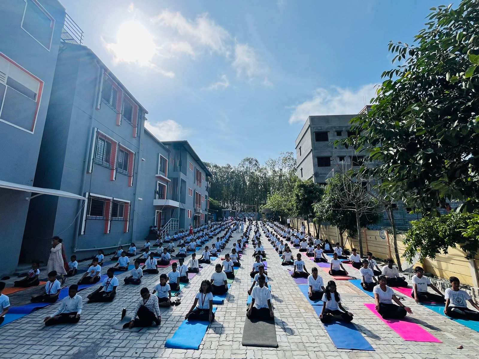 Yoga Day 2024-25